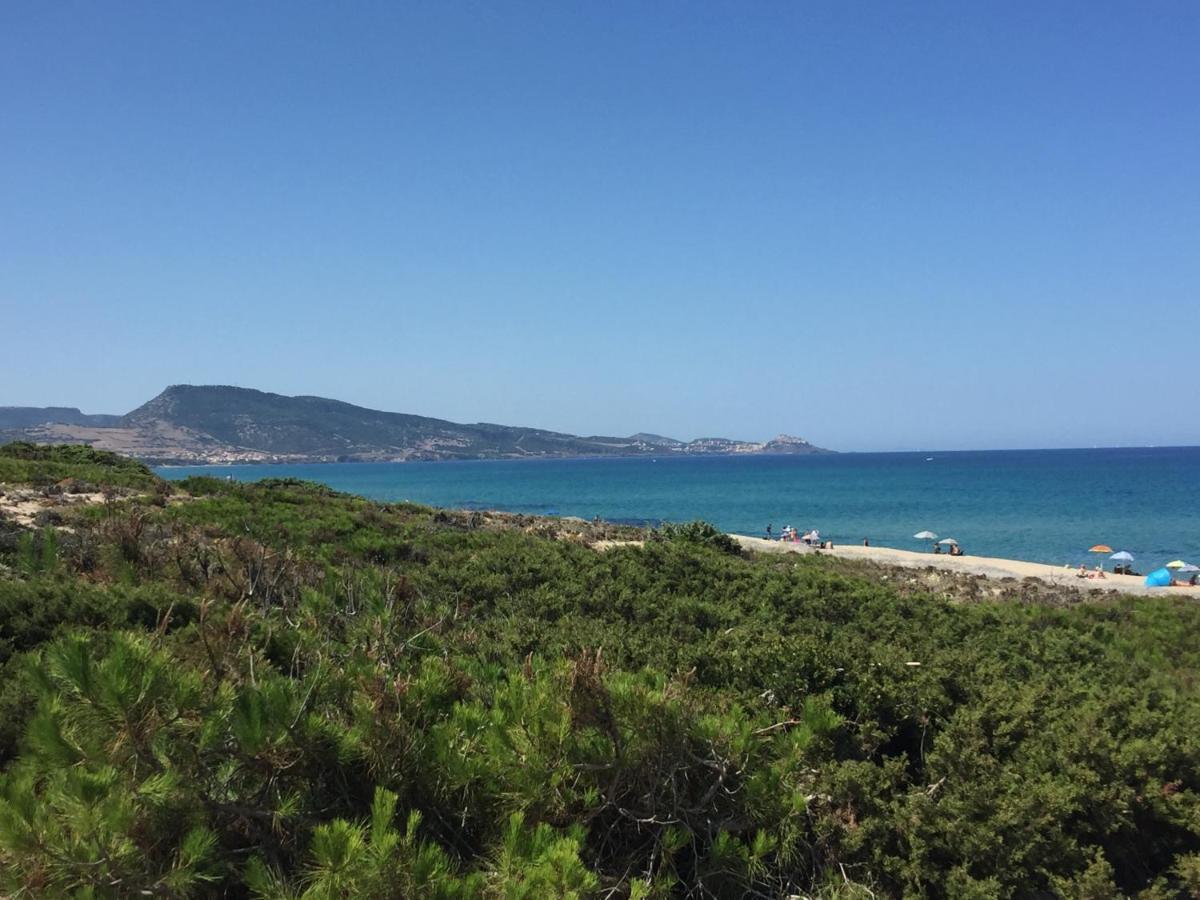Villa Carrabean Sea In The North Of Sardegna, With Swimming Pool à Viddalba Extérieur photo