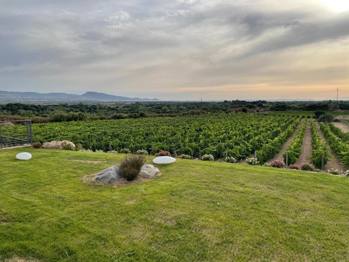 Villa Carrabean Sea In The North Of Sardegna, With Swimming Pool à Viddalba Extérieur photo