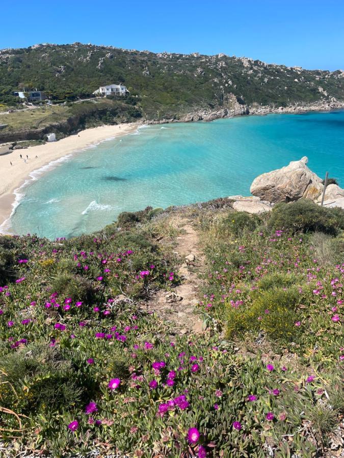 Villa Carrabean Sea In The North Of Sardegna, With Swimming Pool à Viddalba Extérieur photo