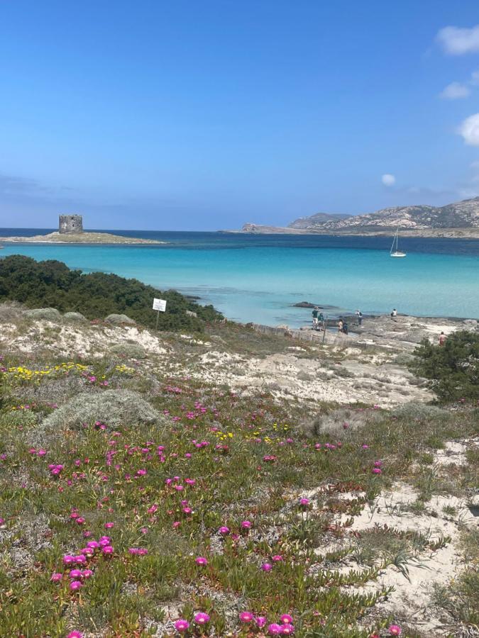 Villa Carrabean Sea In The North Of Sardegna, With Swimming Pool à Viddalba Extérieur photo